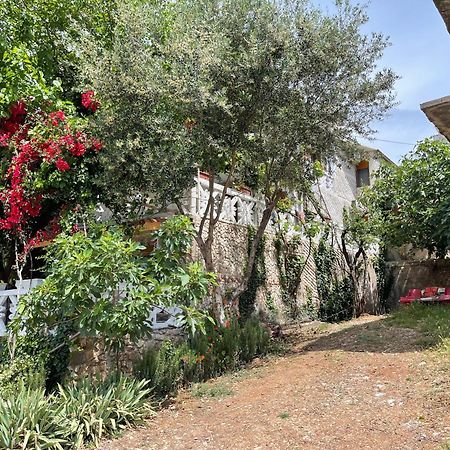 Mustafaraj Apartments كساميل المظهر الخارجي الصورة