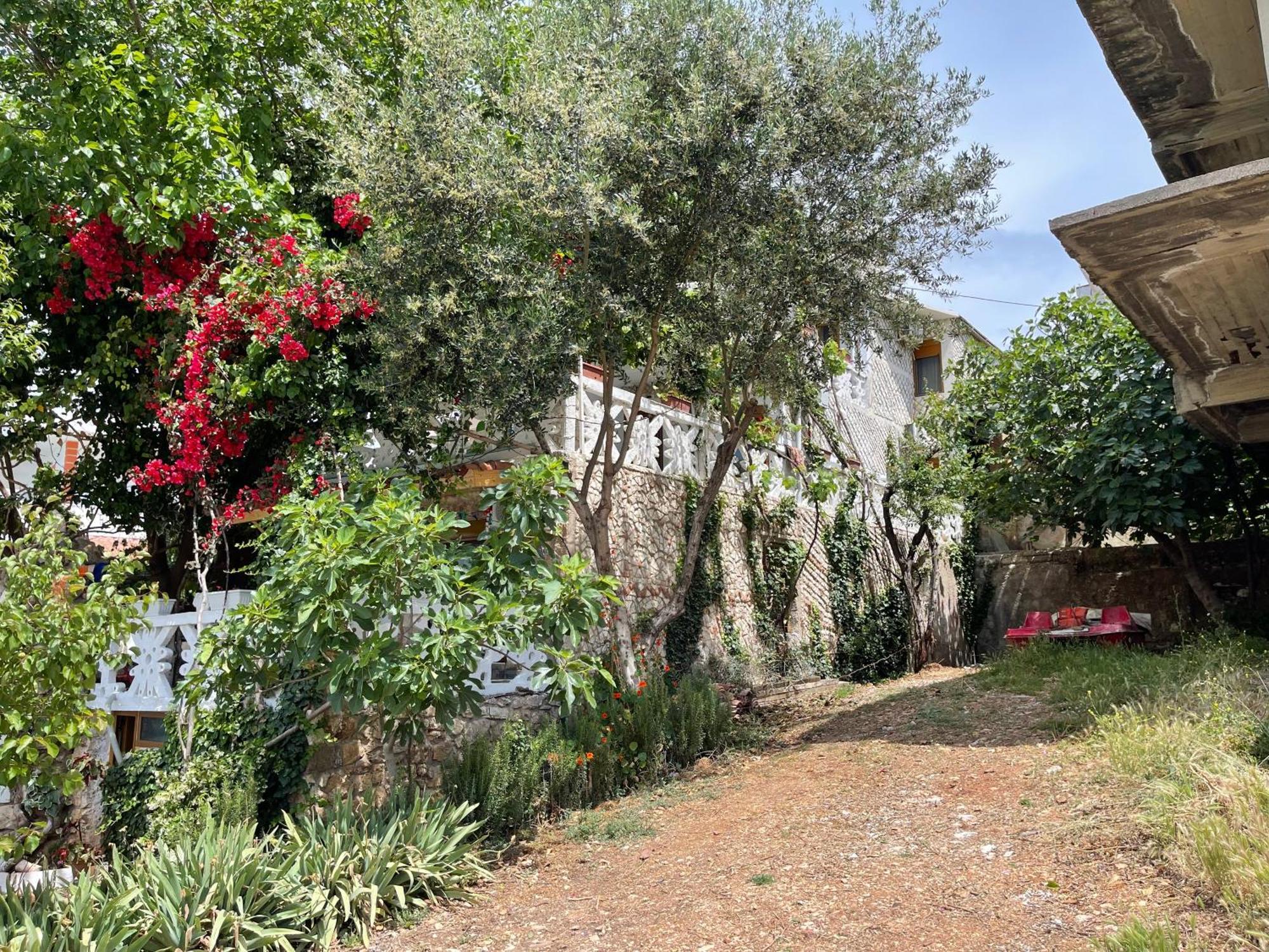 Mustafaraj Apartments كساميل المظهر الخارجي الصورة