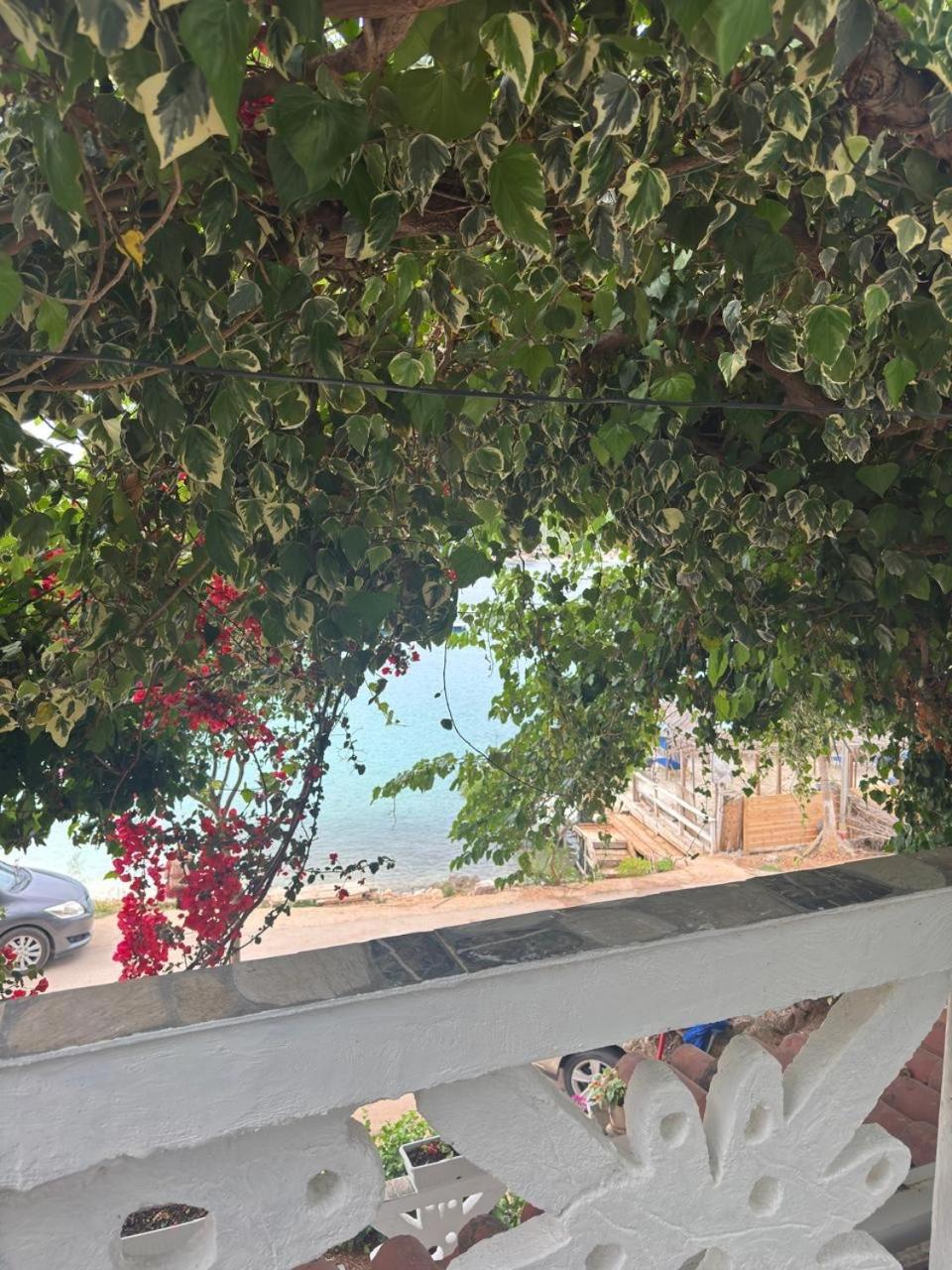 Mustafaraj Apartments كساميل المظهر الخارجي الصورة