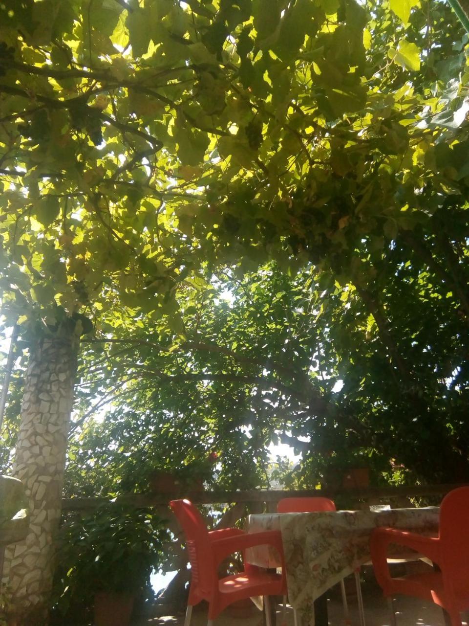 Mustafaraj Apartments كساميل المظهر الخارجي الصورة